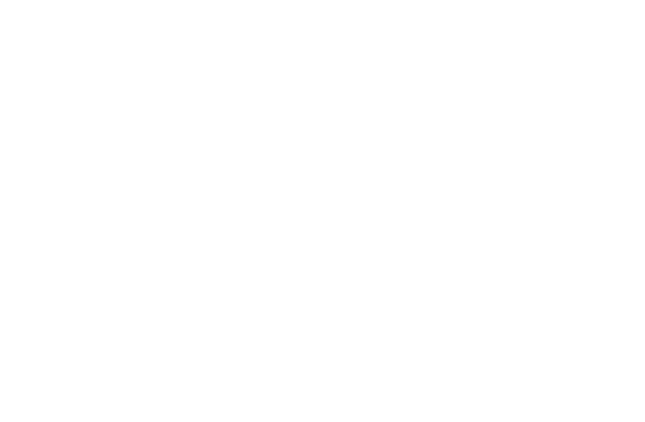 MIZ JAPAN